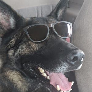 Meet your Posher, Karoline